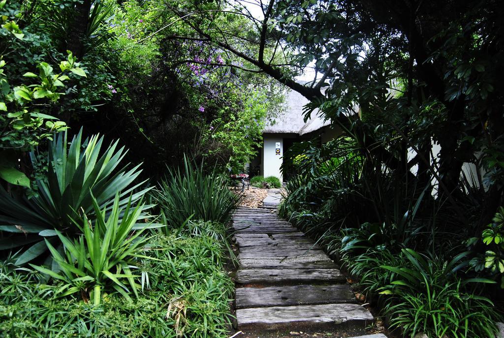Birch Tree Cottage Johannesburg Kültér fotó