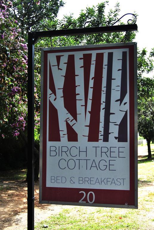 Birch Tree Cottage Johannesburg Kültér fotó