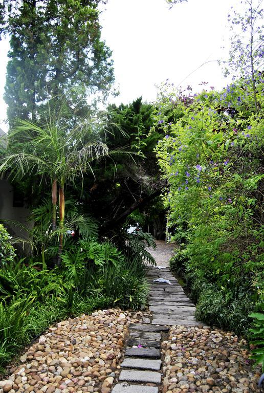 Birch Tree Cottage Johannesburg Kültér fotó