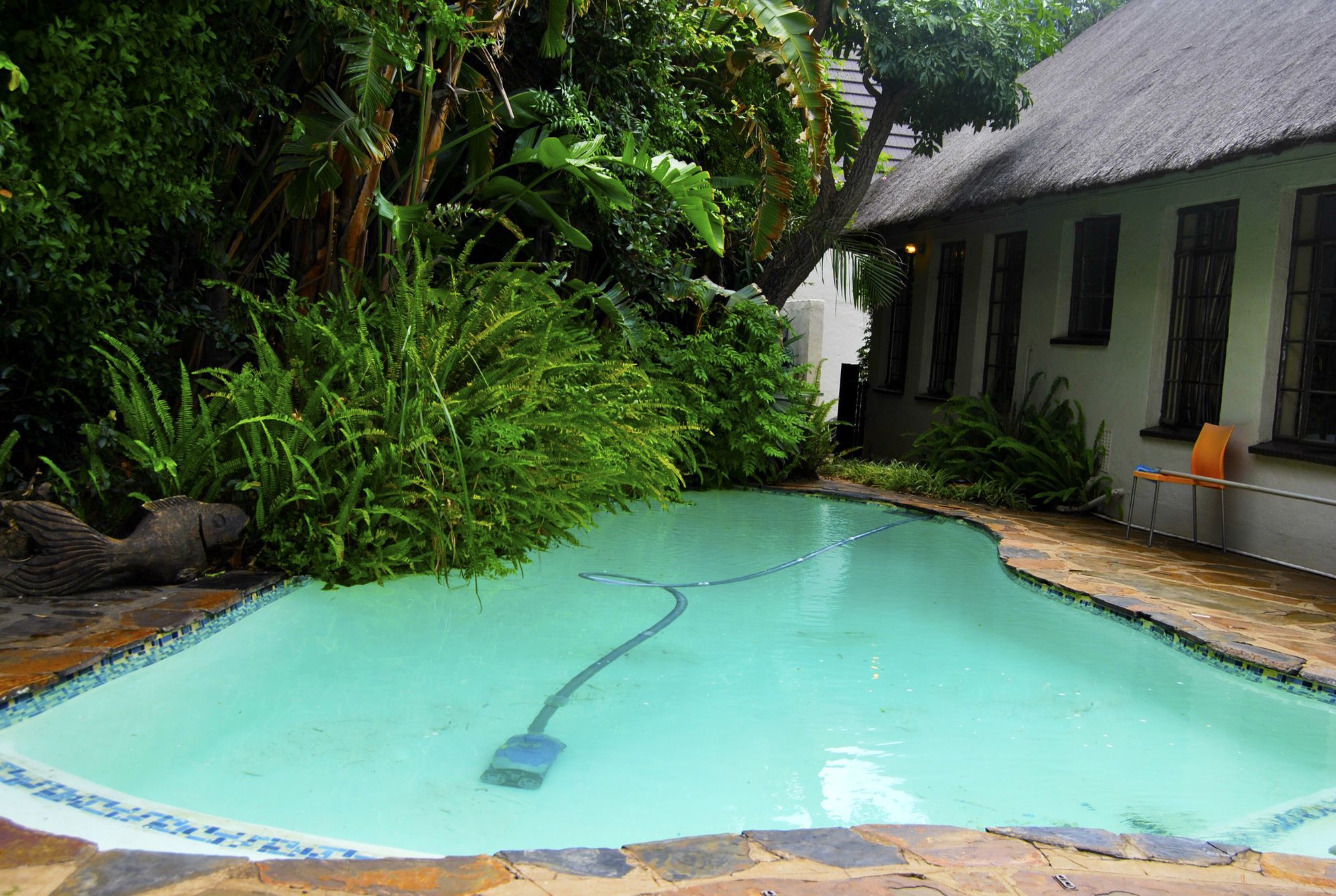 Birch Tree Cottage Johannesburg Kültér fotó