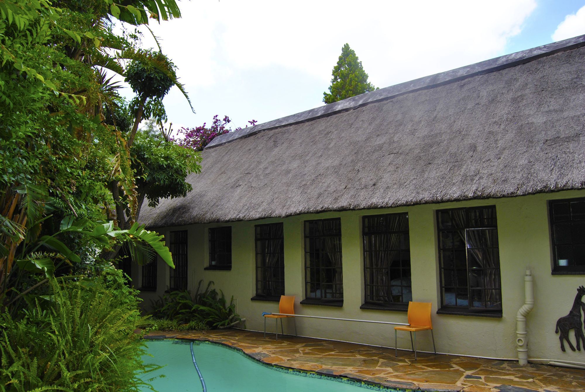 Birch Tree Cottage Johannesburg Kültér fotó